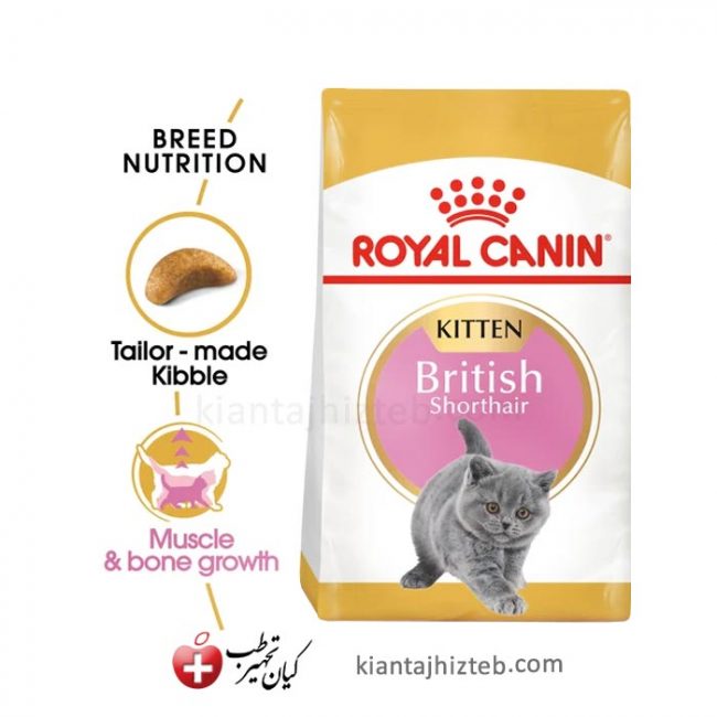 غذای خشک گربه رویال کنین مدل British Kitten وزن 2 کیلوگرم