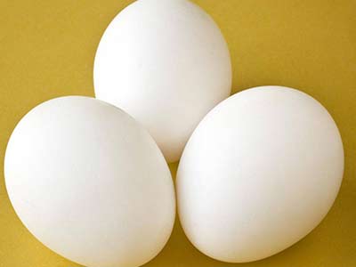تخم مرغ در برخی مدلهای شامپو خارجی